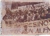 ft_35.jpg