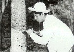 Foto-01.jpg