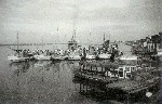 Foto-31.jpg